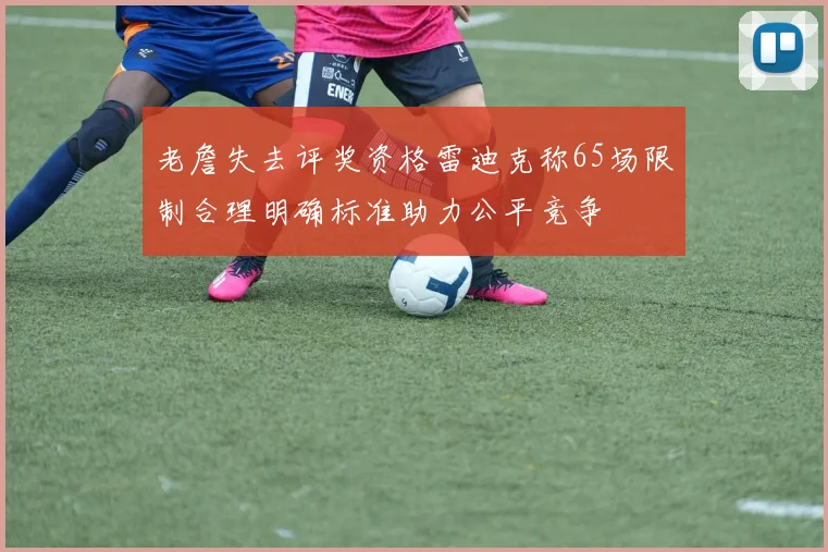 老詹失去评奖资格雷迪克称65场限制合理明确标准助力公平竞争