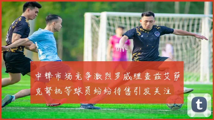 中锋市场竞争激烈罗威理查兹艾萨克弩机等球员纷纷待售引发关注
